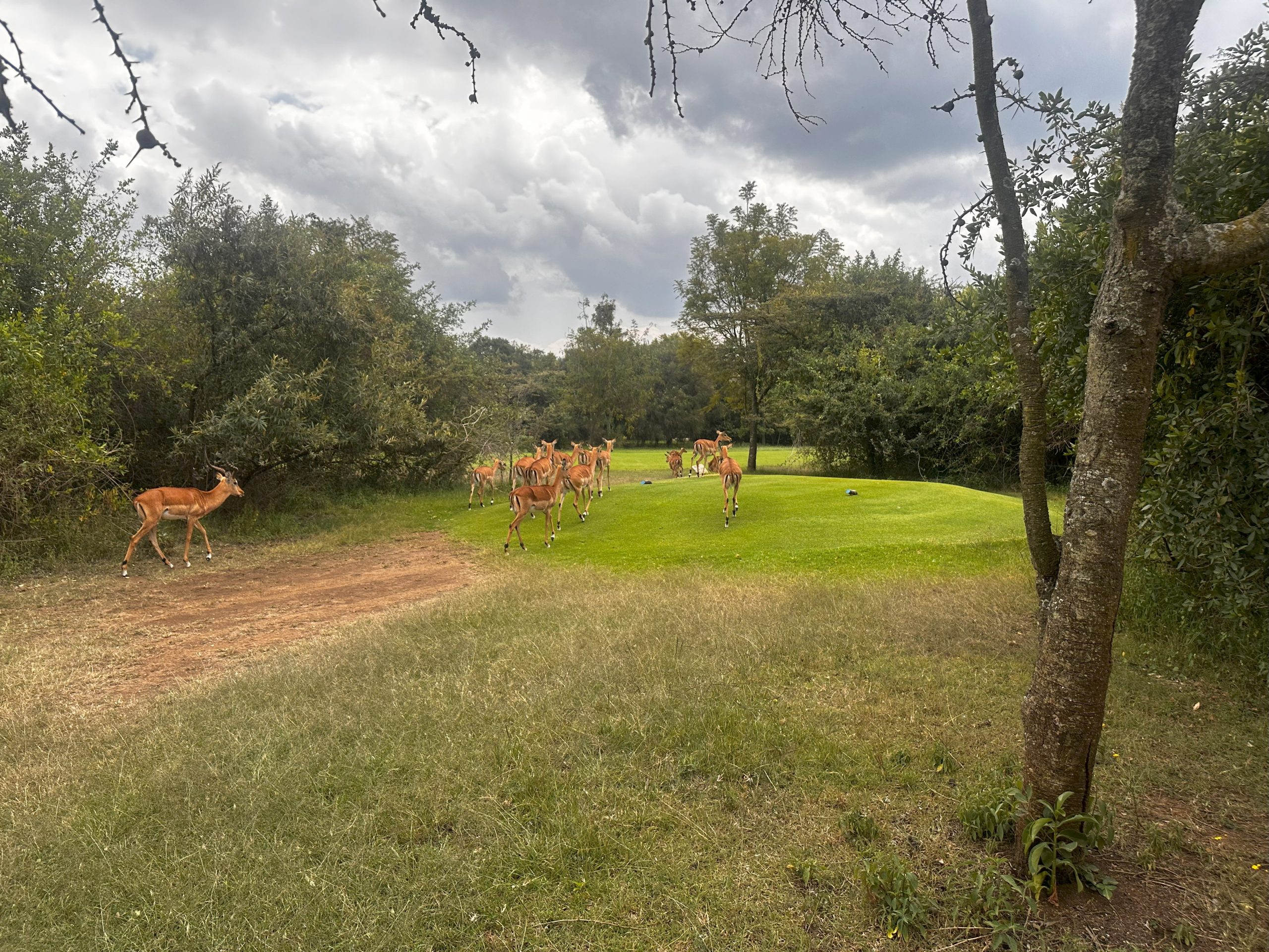 First Person: Golfing in the Great Rift Valley