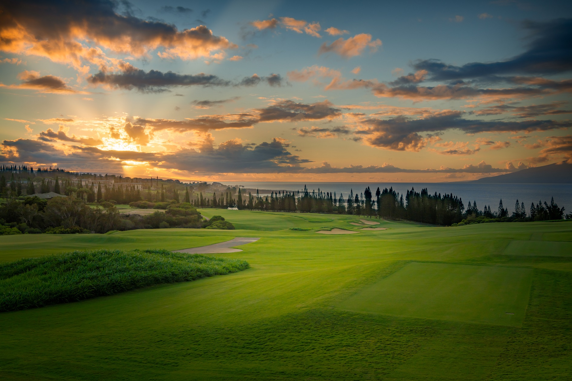 The Plantation Course reopens for play