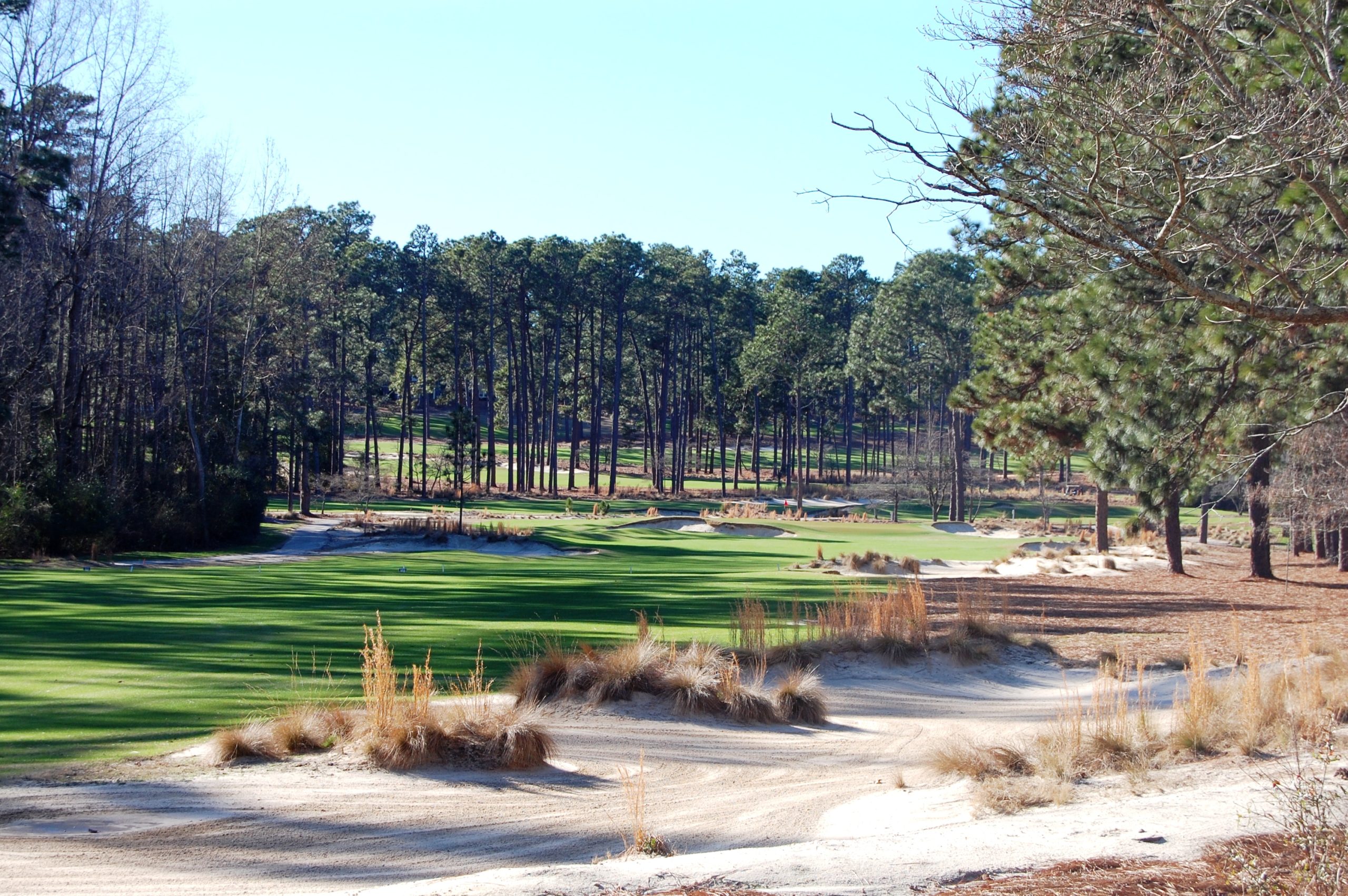 ‘Ross Resorts’ undergoing expansion, renovation