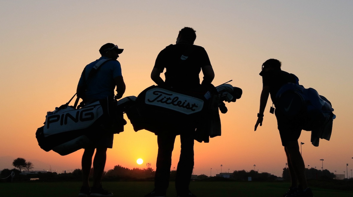 The question we’re all too sheepish to ask