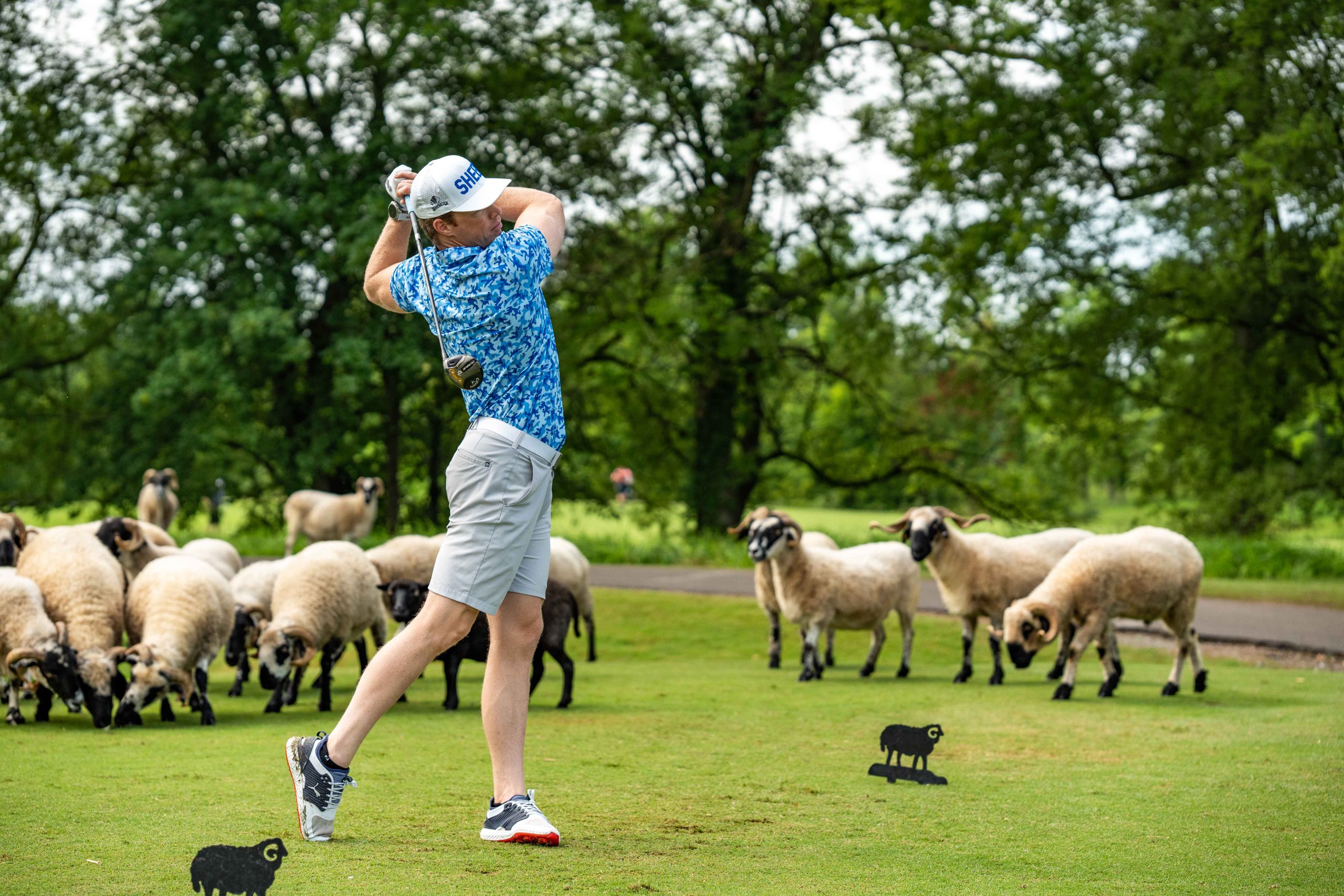 Hermitage Golf Course prepares to celebrate its 40th anniversary