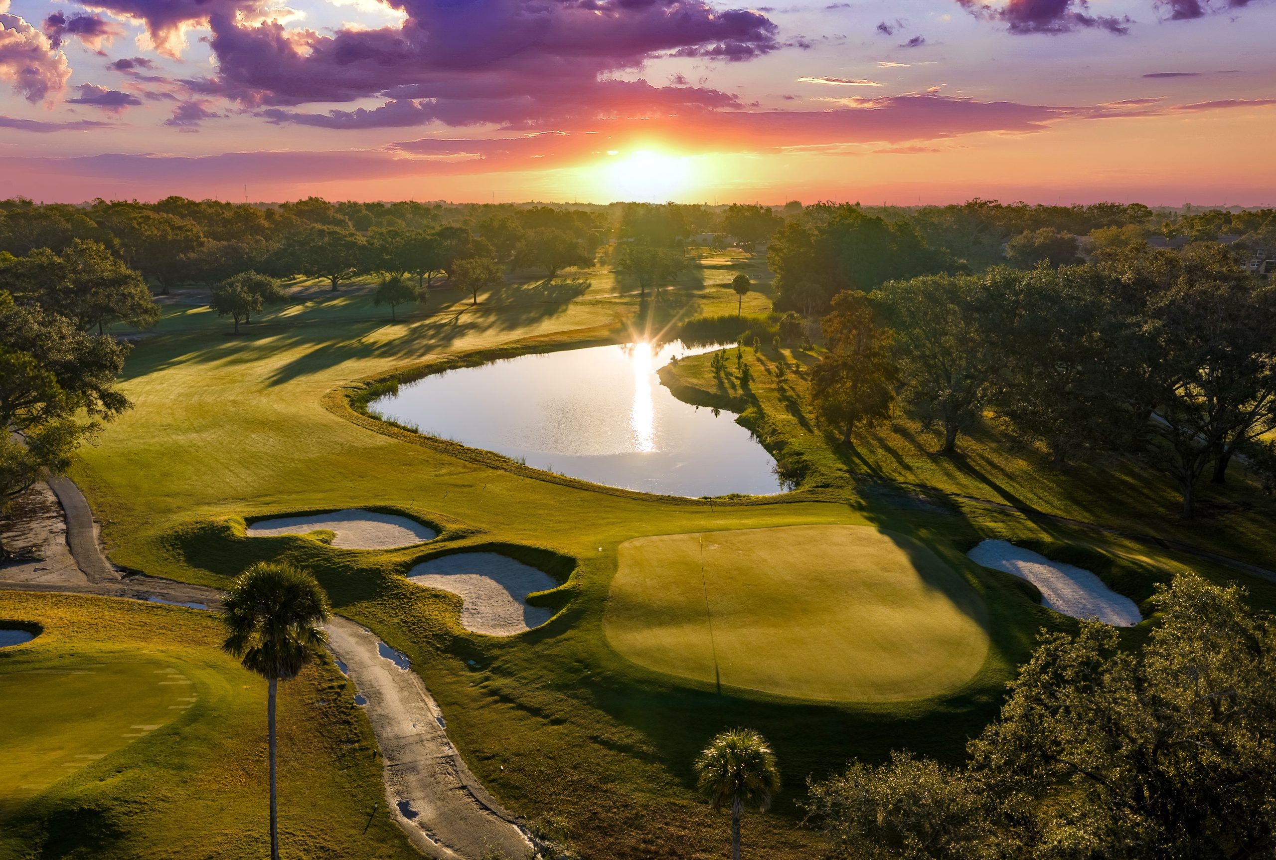 Dunedin’s hidden gem