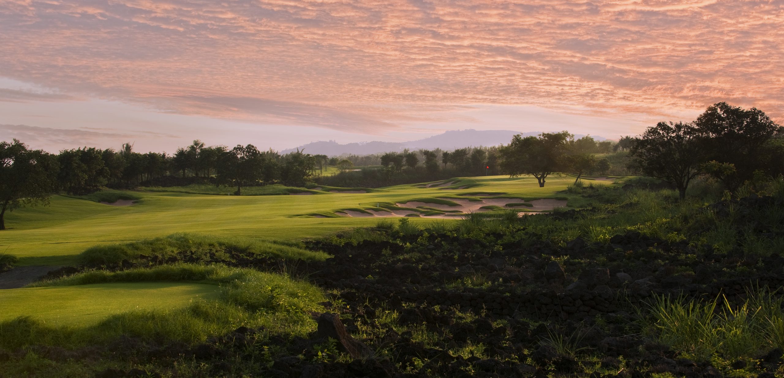 How Brian Curley built a volcanic oasis